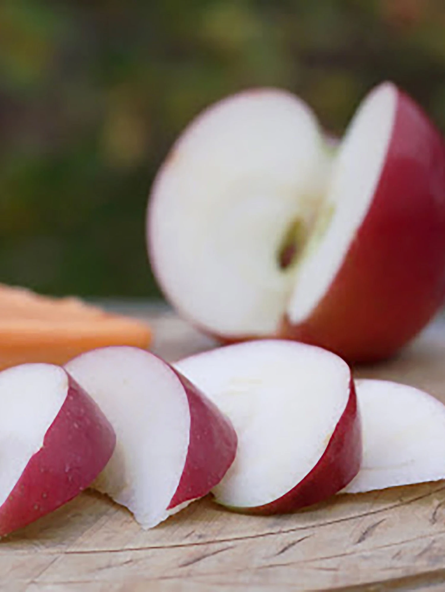 Snowsweet Apple 1 Snowsweet Apple