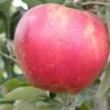 Akane Apple