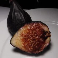 Violette De Bordeaux Fig (Negronne) 5 Violette De Bordeaux Fig (Negronne) -Berryfield Fruits Shop followingVdBfig
