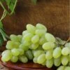 Gratitude Seedless Grape