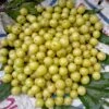 Colossal Gooseberry